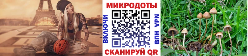Купить где  Каневская  Псилоцибиновые грибы мухоморы 
